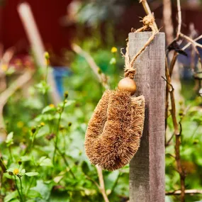 Gardener's brush