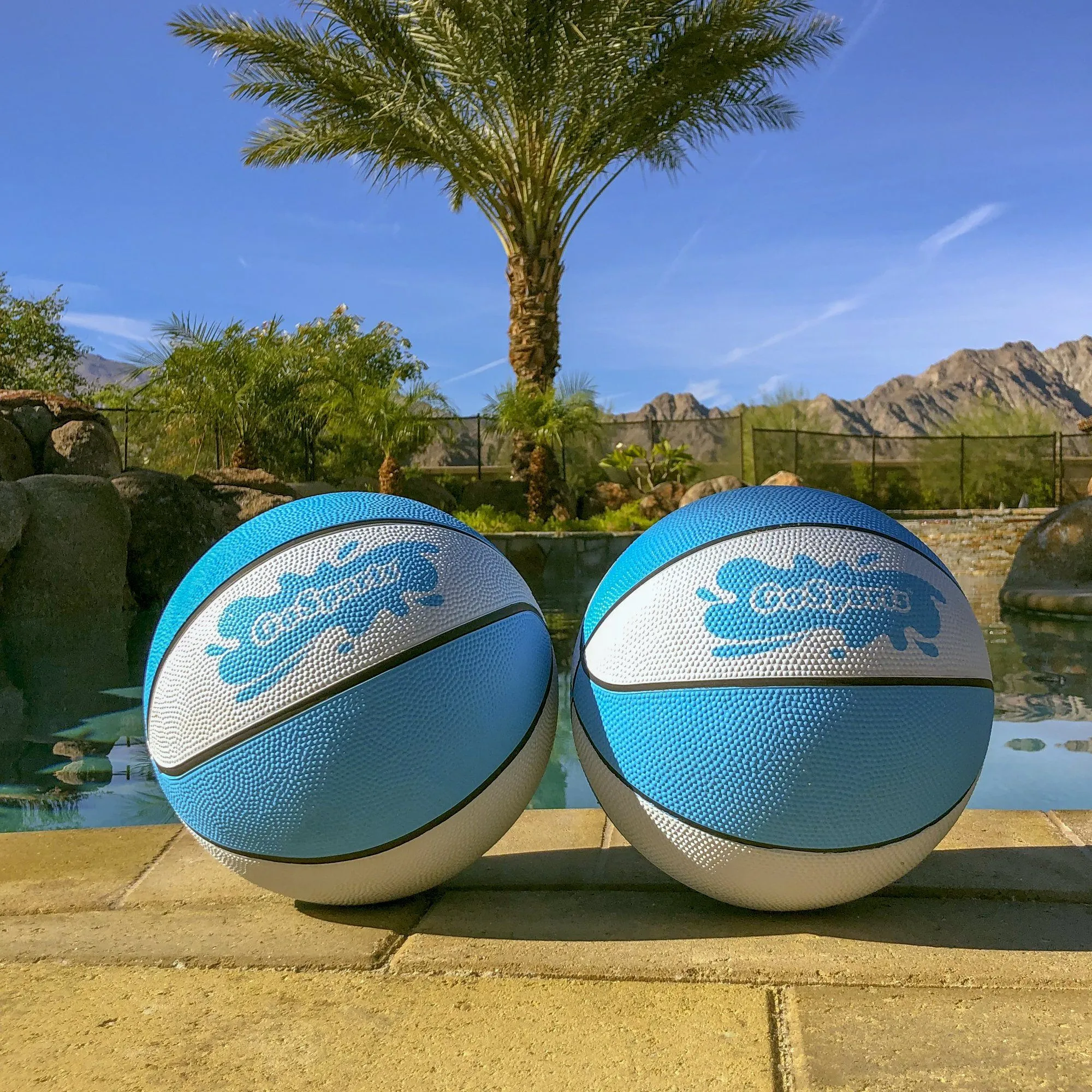 GoSports Size 3 Water Basketball