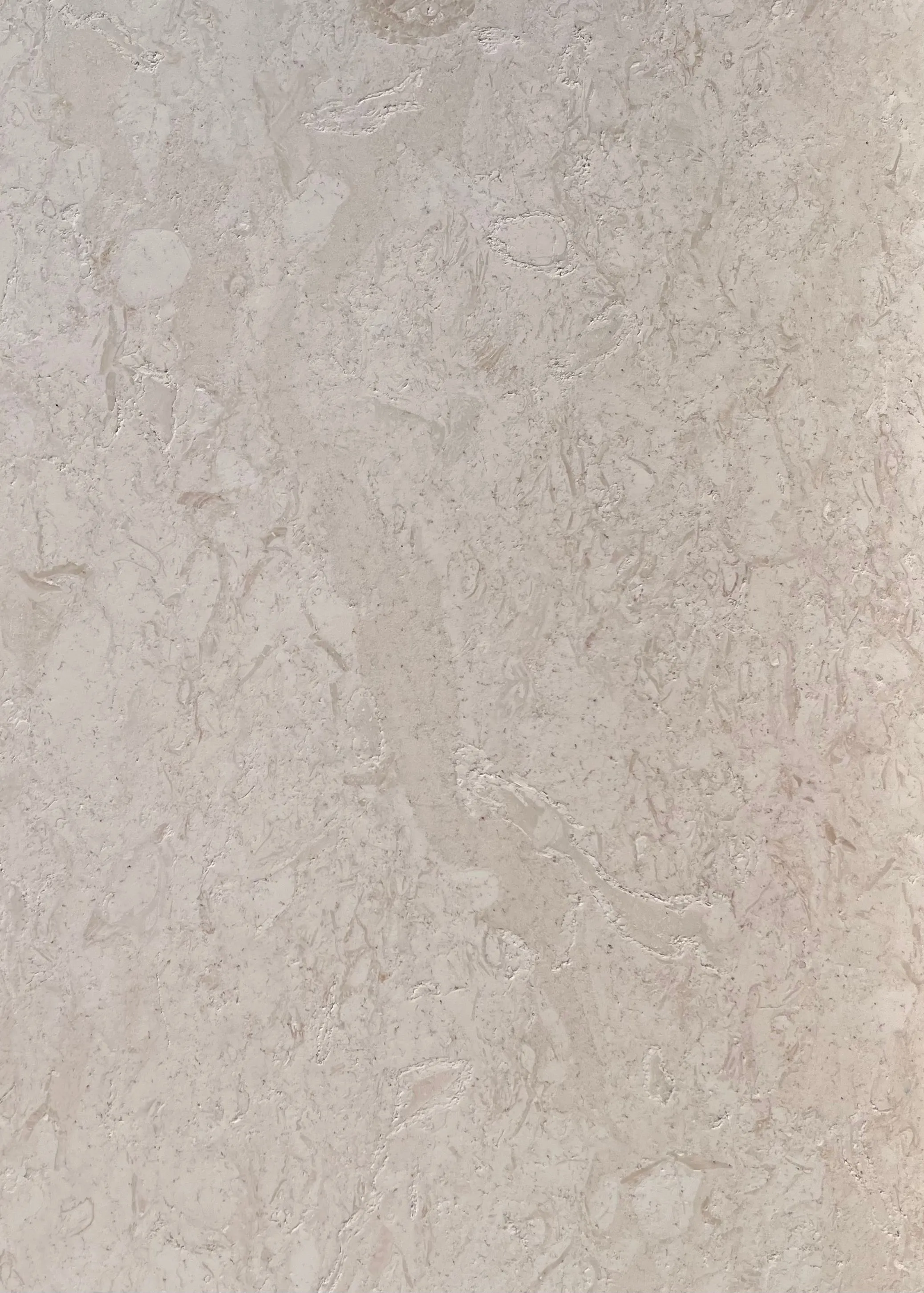 Limestone - Indiana white 610x406x30