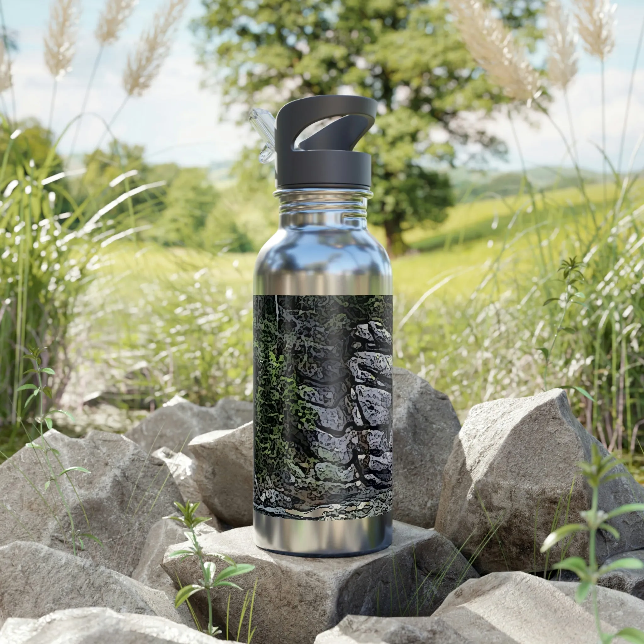 Stainless Steel Water Bottle With Straw, 20oz ..."I Am Innocent" ... Tricky-Dick Immortalized ... Nixon Rock: Along The River ... Central Idaho, Summer 2020 ... Original Works ...